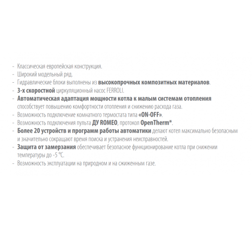 Газовый котел Ferroli Fortuna F 20