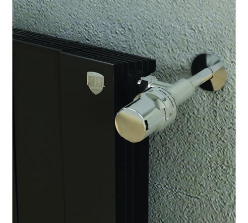 Радиатор биметаллический Royal Thermo PianoForte 500 NOIR SABLE